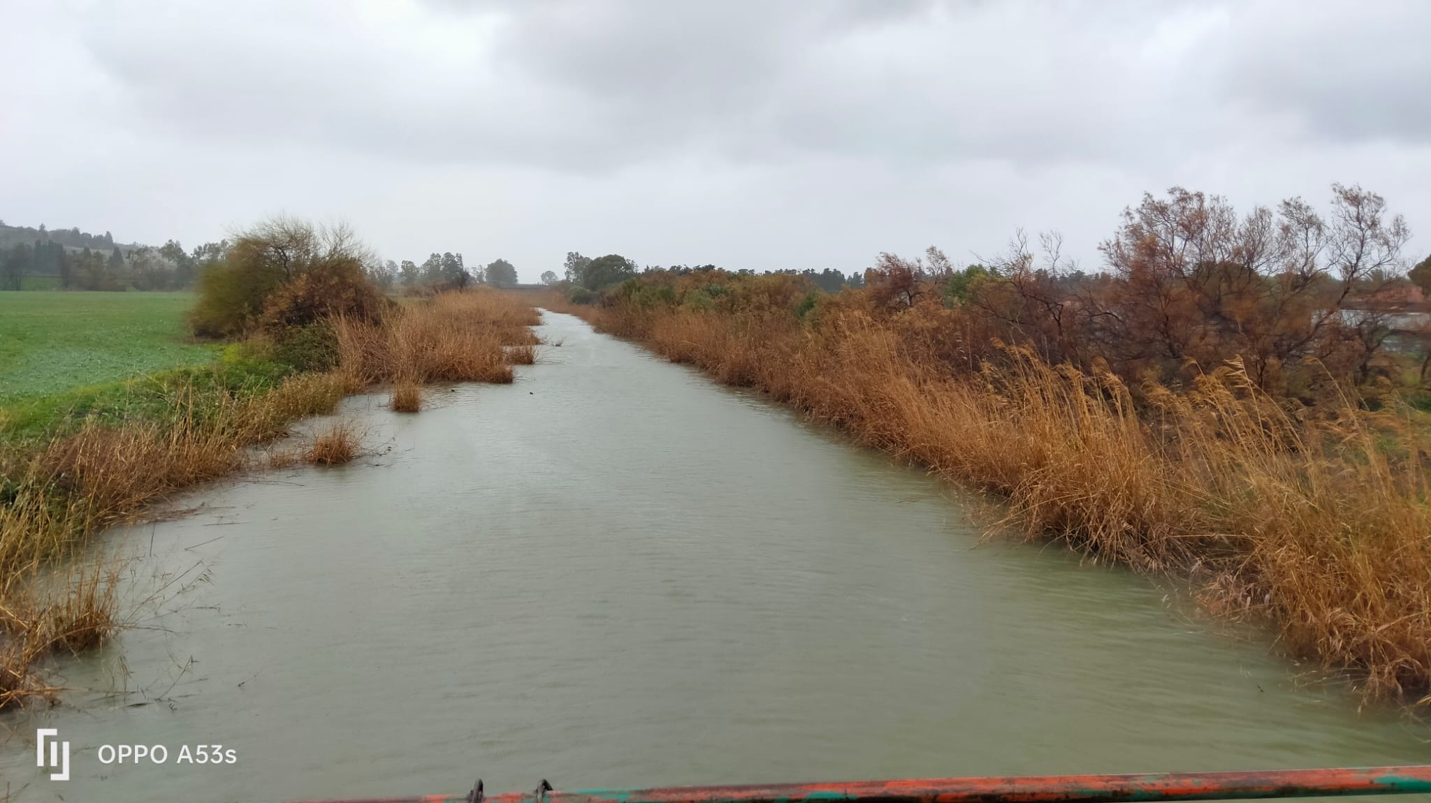 Allerta rossa, le condizioni meteo preoccupano la guardia Forestale<br>«Situazione sotto controllo ma occorre pulire i corsi d’acqua»