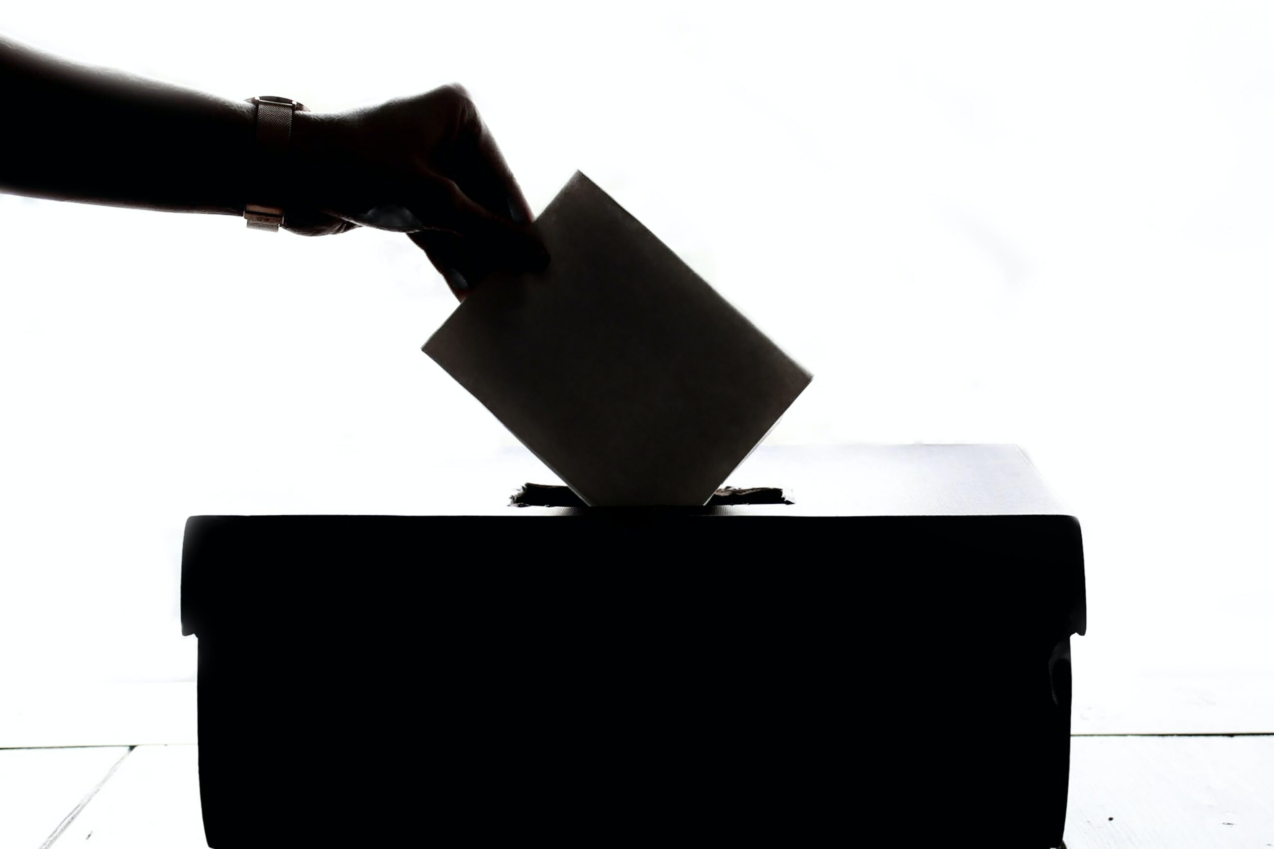 Amministrative, la corsa dai municipi a Palazzo degli Elefanti<br>Candidati pronti al salto tra ex cinque stelle e fedelissimi di Fi