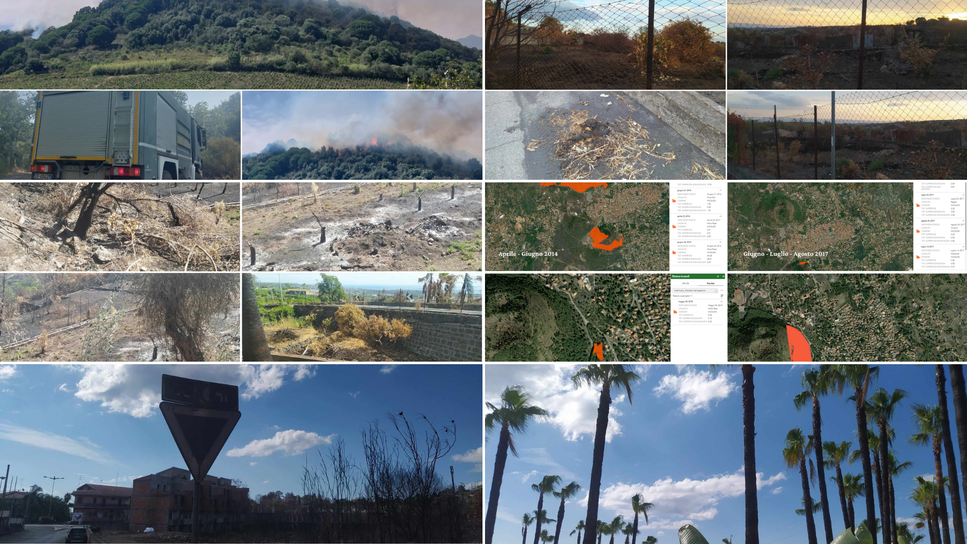 Gli incendi in provincia di Catania, a Valverde in fiamme il terreno dei Calderone<br>A Gravina e a Mascalucia a fuoco interi fondi e un bar. Magra e Giammusso tacciono