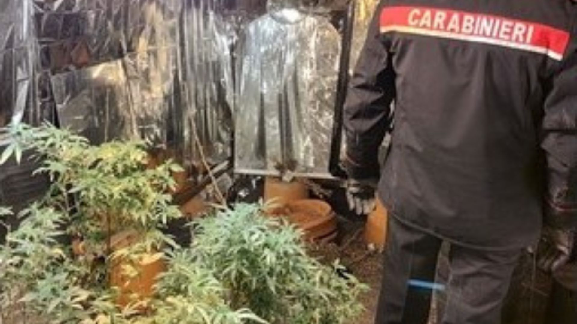 Spaccio di cocaina e marijuana a Librino, arrestati tre pusher minorenni <br>Un congiunto di un affiliato al clan Arena sostituiva il parente arrestato